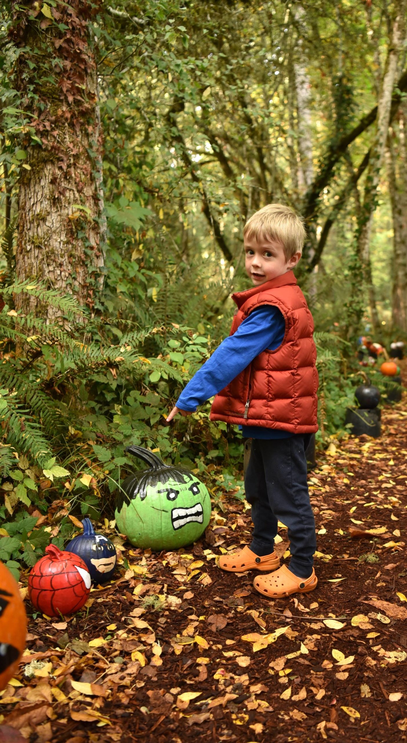James DeWitt finds a Hulk pumpkin on the trail at Bainbridge Gardens Oct. 23. The business allows the community to place decorated pumpkins along the trail each Halloween for all to enjoy.