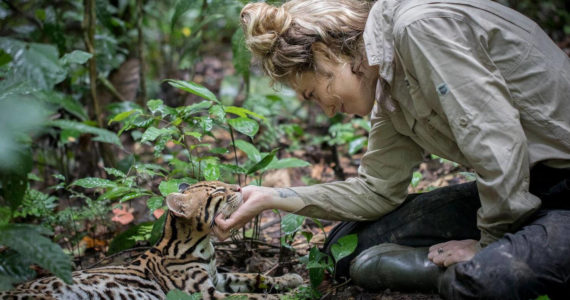Samantha Zwicker shares a moment with Keanu, the orphaned ocelot she and Harry Turner raised and released in the Peruvian jungle in 2019. Courtesy photo