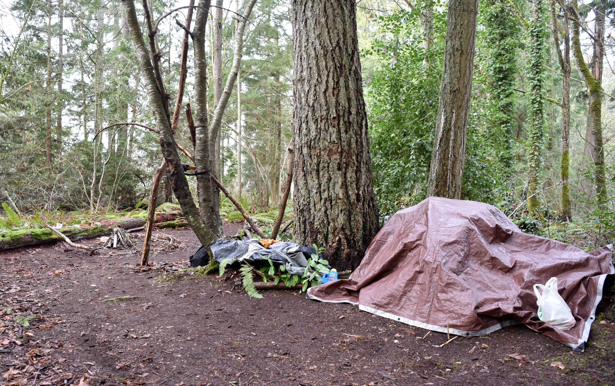 A tidy encampment found at a park in Poulsbo.