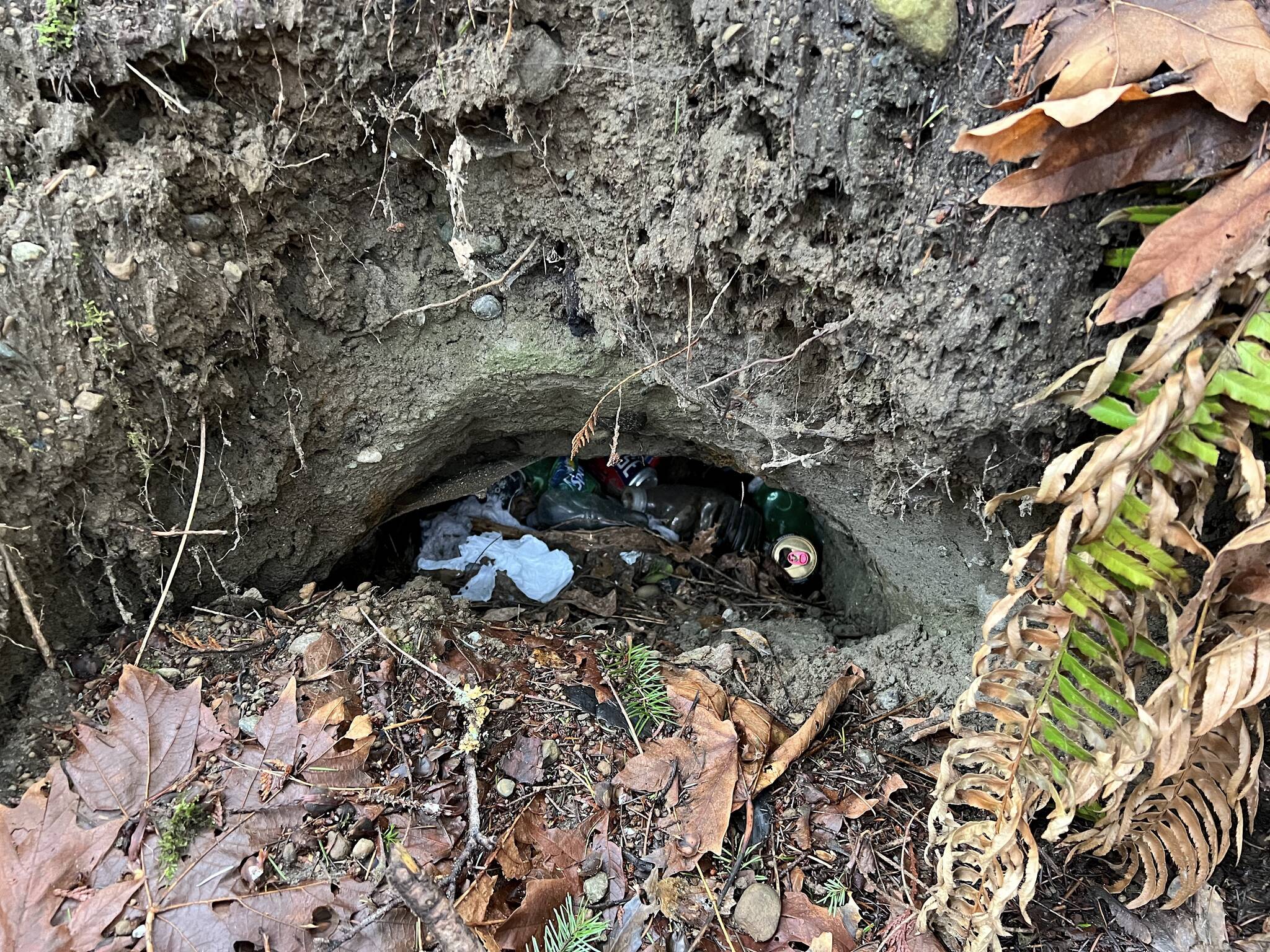 A trash pit dug into the side of a hill was discovered at one encampment in Poulsbo.