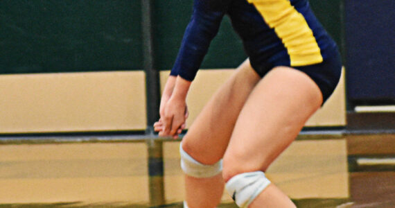 File Photo
Emma Pendleton leads the Spartans defense with 11 digs.