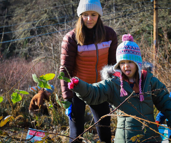 BI Parks and Trails Foundation courtesy photos
Two volunteers recoil at the sight of a strand of invasive Himalayan blackberry Jan. 15.