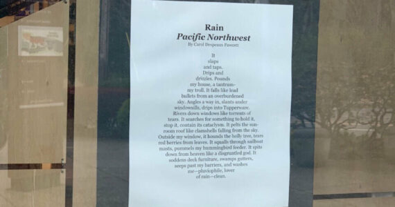 Molly Hetherwick/Kitsap News Group
“Rain - Pacific Northwest,” by Carol Despeaux Fawcett, is displayed in the window of the Bainbridge Island Museum of Art.