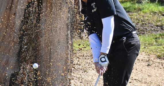 Nicholas Zeller-Singh/Kitsap News Group photos
Viking Ryan Hendricks shoots a 51 against Kingston.