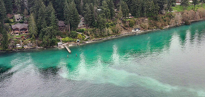 <p>Dave Parks, Coastal Watershed Institute courtesy photo</p>
                                <p>Herring spawn event seen from above along Agate Pass in March of 2023.</p>