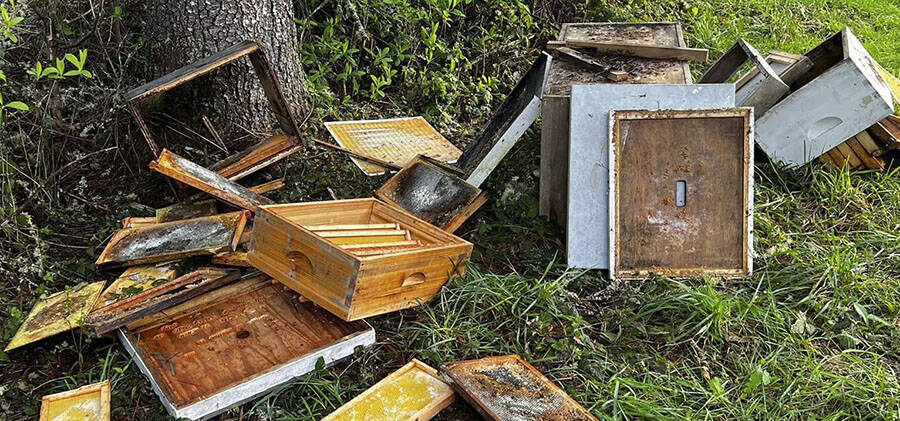 Johnny Bregar courtesy photo
Beehive components scattered all over a corner of Johnny Bregar’s yard.