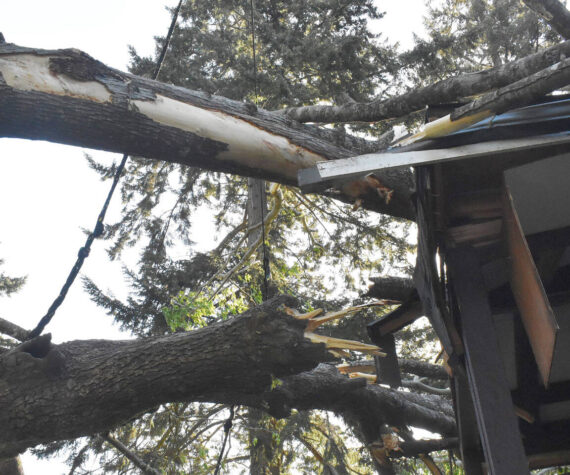 Nicholas Zeller-Singh/Kitsap News Group
An 8-foot-wide tree fell on Kim McLaughlin’s home April 20.