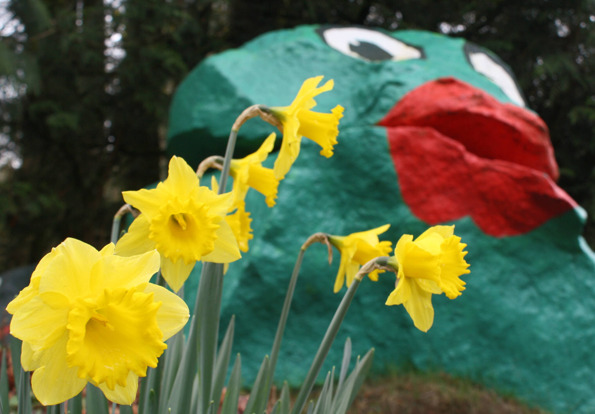 Frog Rock is looking a little extra beautiful this season.