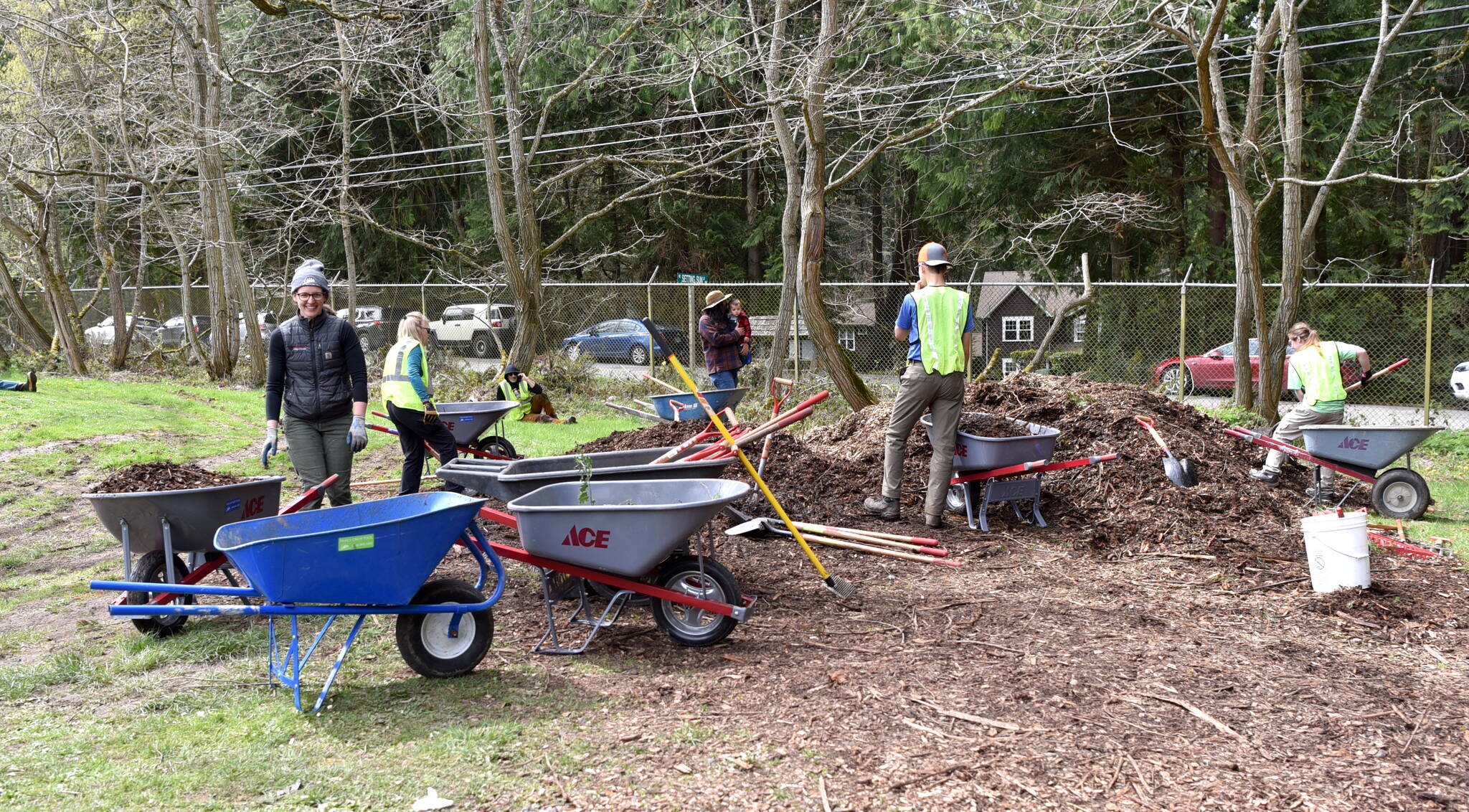 Bainbridge Island Metro Park & Recreation District employees spread mulch around trees during the Earth Day Expo at Battle Point Park in 2024.