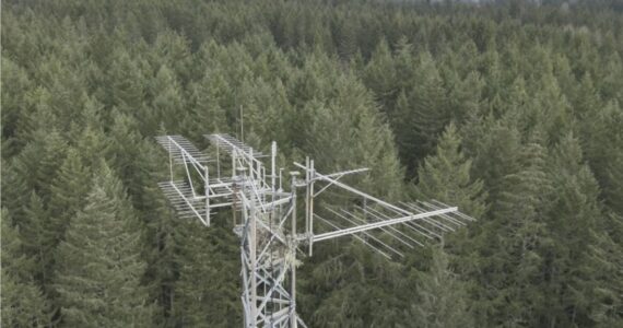 Bainbridge Prepares courtesy photo
The top of the radio tower at Strawberry Hill Park.