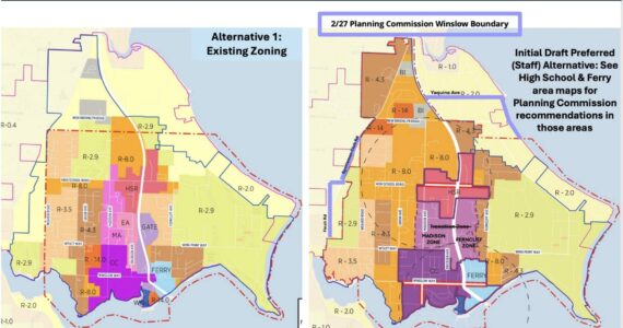 COBI courtesy images
A look at the proposed zoning boundaries for the Winslow Subarea, including changes to its mini-neighborhood districts.