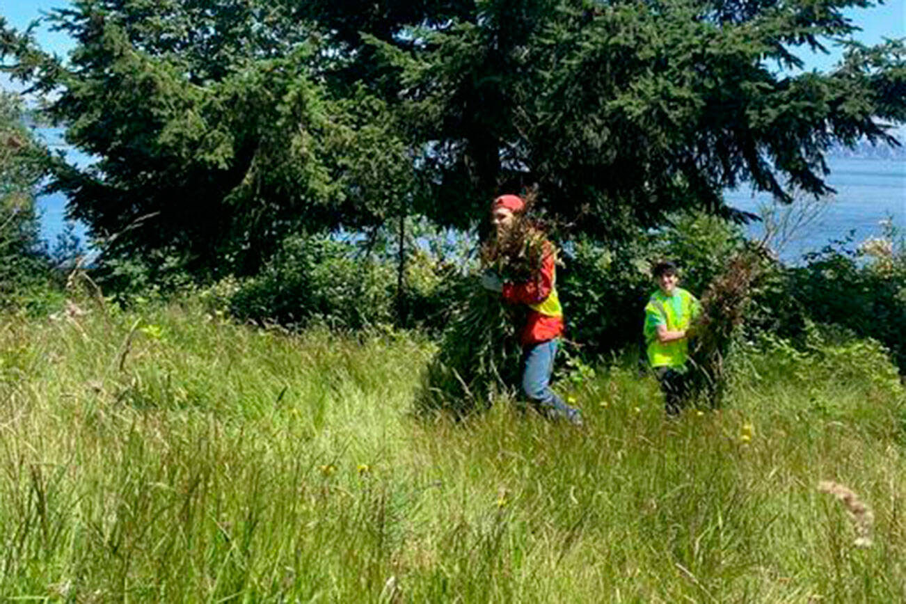 Grounds crew members remove invasive plants from a natural meadow area in one of the district’s parks.