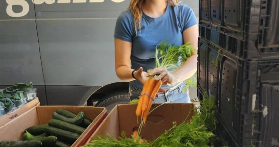 Share the Harvest courtesy photo
A volunteer sorts carrots during a delivery to Helpline House.