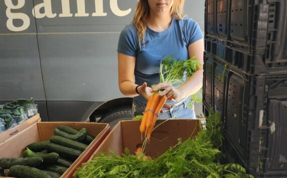 Share the Harvest courtesy photo
A volunteer sorts carrots during a delivery to Helpline House.