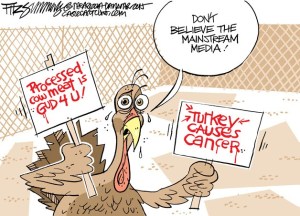 Today's cartoon is by David Fitzsimmons
