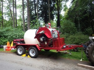 Bloedel staff destroyed diseased plans and steamed the soil to eradicate the pathogen fully.