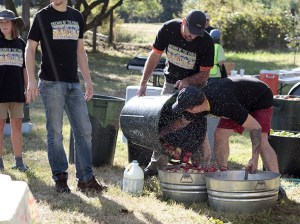 The 2016 Friends of the Farms Harvest Fair returned to Johnson Farm Sunday
