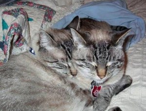 Birdie and Bella
