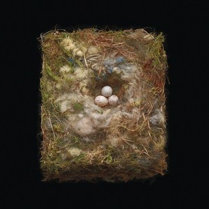 Winter Studio Tour artist profile: Darryl Schmidt