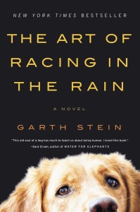 Stein novel gets a look from Bainbridge readers