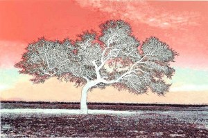 Bainbridge Performing Arts will present three weekends of performances of 'The Kentucky Cycle' March 12–30 at Bainbridge Performing Arts.