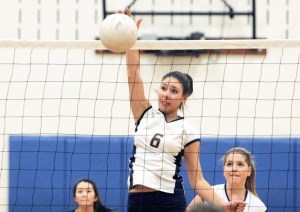 Hannah Wagner jumps up to spike the ball in the first Metro tourney game against Nathan Hale.
