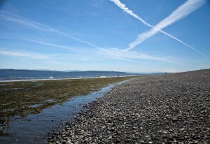 Low tide on Bainbridge Island.