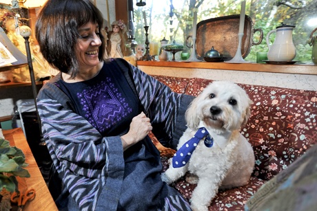 Hajni Joslyn opens her home for the 16th annual Christmas in the Country Tour Dec. 4-6. as Butsu models one of the dog collars that will be available for sale.