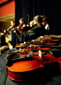 At a concert event at the Island Music Guild Wednesday