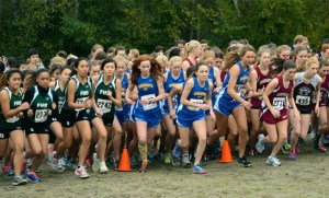 The Bainbridge High cross country girls team placed sixth overall with a team score of 144 at the Sea-King District II meet at Lake Samammish State Park Thursday