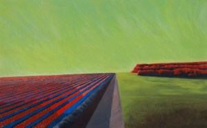 Scott Allen