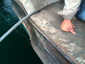 A large dent is visible on the ferry M/V Wenatchee after it struck the dock in Winslow on its approach to Bainbridge Island Thursday.