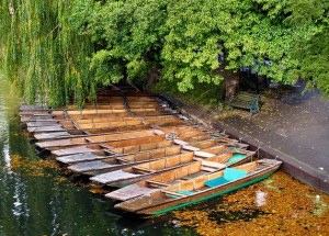 'Punts' by Harriet Muhrlein.