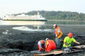 Cit Public Works crews work started to fix the sewer main on the north side of Eagle Harbor before sunrise on Tuesday.
