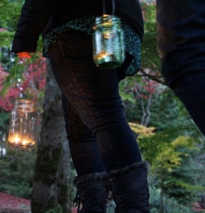 “Lighting the Night-A Solstice Walk” comes to Bloedel Reserve on Sunday