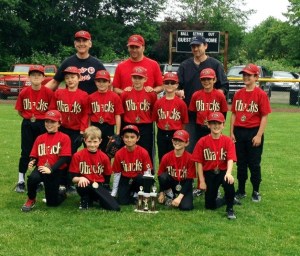 The Diamondbacks