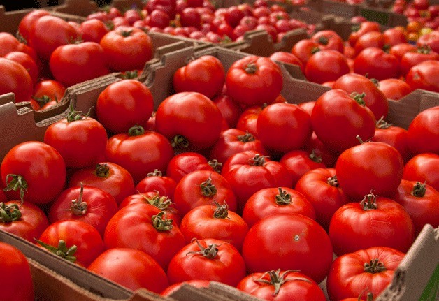 Tomatoes at the Bainbridge Island Farmers Market.