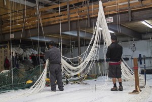 Bainbridge-based netting manufacturers NET Systems recently grabbed headlines when a net they designed was used by a daredevil from Shelton in a record-setting 25
