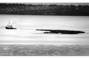 Boom Time | Island Snapshots