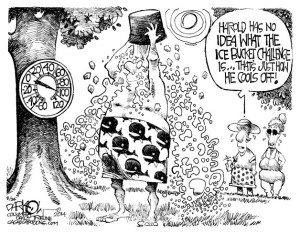 Today's cartoon is by David Fitzsimmons