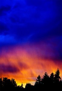 The evening sky is aglow on Bainbridge Island Sunday.