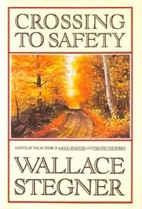 VIP looks at Stegner novel