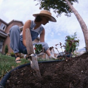 Learn propagation techniques and other gardening tricks at a spring propagation and cultivation workshop on Friday