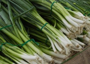Fresh green onions at the Bainbridge Island Farmers Market.