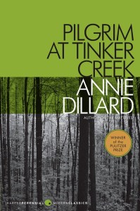 Bainbridge readers look at Pilgrim tale