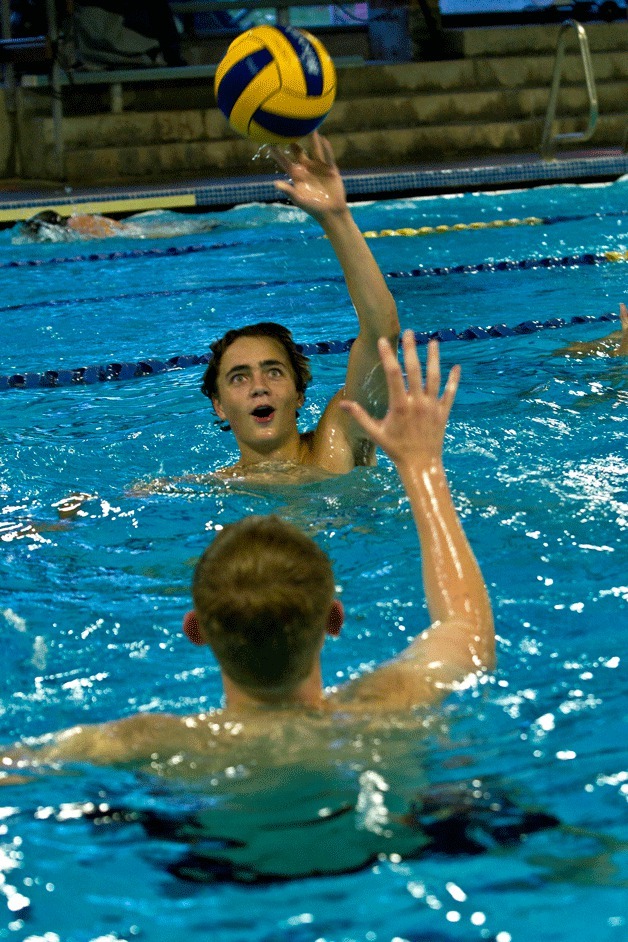 The BHS boys water polo team begins their season Saturday at the Emerald Ridge Jamboree