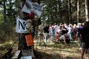 Supporters gathered below Chiara D'Angelo's 70-foot-high encampment while Seattle TV news stations set up cameras.