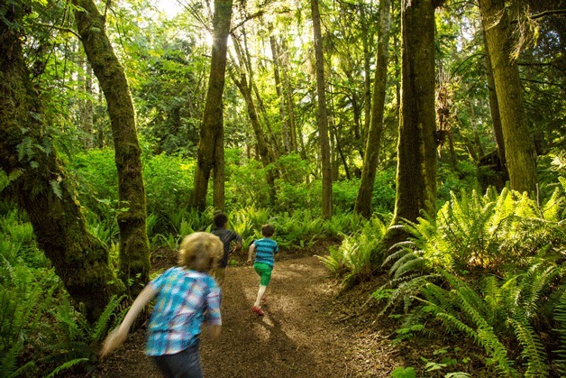 The first-ever Out(side)rageous Family Day at Bloedel Reserve invites kids and their parents to enjoy the grounds and participate in a variety of games and activities Saturday
