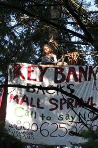 Chiara D’Angelo is protesting a proposed shopping center at High School Road and Highway 305 from the high branches of an evergreen tree on the property that will be developed.