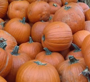 Pop by the Bainbridge Public Library this Saturday and get your pumpkin painted for the holiday.